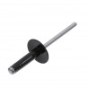 rivet