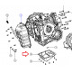 Carter huile boite auto