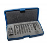 JEU D'EXTRACTEUR POUR FIXATIONS TORX 11P