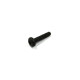 VIS TORX PAN