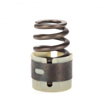 Crown spring &  valve seal (53021994AA)