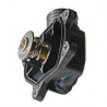 thermostat Freelander 1