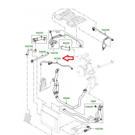 Land rover Durite de refroidissement bocal (LR011462)