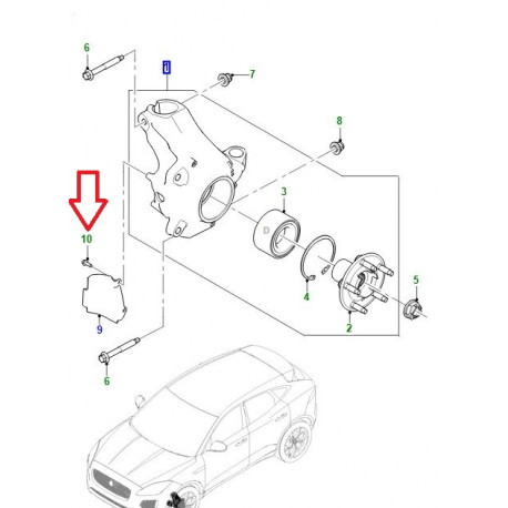 Jaguar vis (C2Z1488)