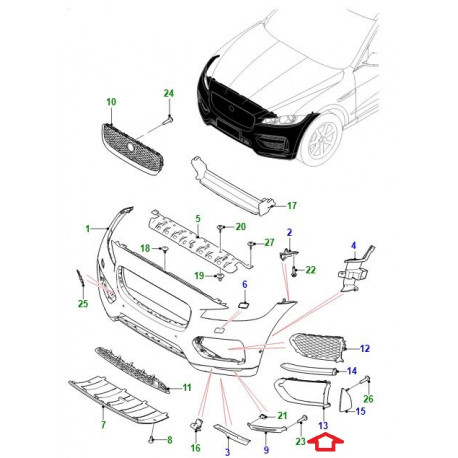 Jaguar moulure (T4A6240)