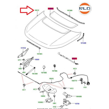 Land rover capot Discovery sport (LR106659)