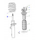 ressort de suspension avant traction avant X-Type et XK8