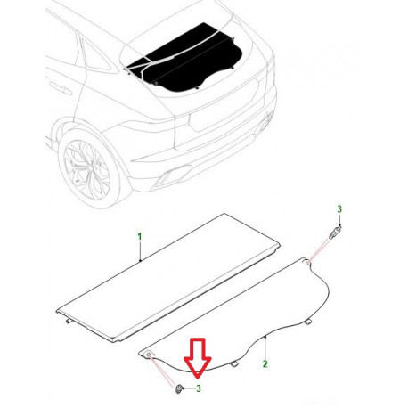 Jaguar arretoir (J9C5599)