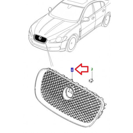 Jaguar grille de radiateur (C2Z13199)