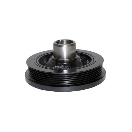 Vm motori poulie damper (25602029F)