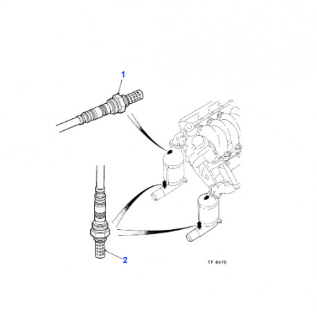 Jaguar sonde a oxygene (LNE1684BB)