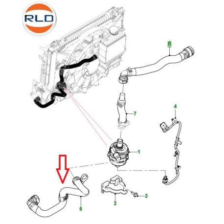 Jaguar tuyau - liquide refroid. (T2H41026)