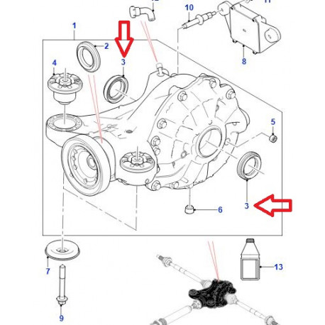 Jaguar joint spy (C2D3647)