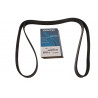 Courroie d'accessoire