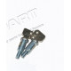 kit 2 barillets avec 2 cles