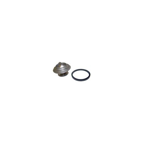 Crown thermostat 79°c (04778975)