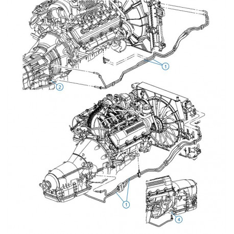 Mopar flexible  refroidisseur d'huile (55038178AE)