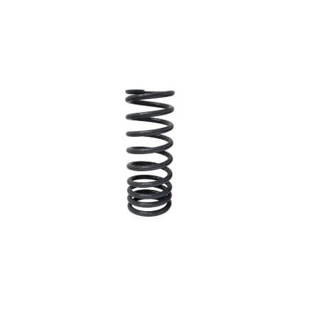 Terrafirma KIT RESSORTS ARRIERE P38 HAUTEUR STANDARD (TF031)