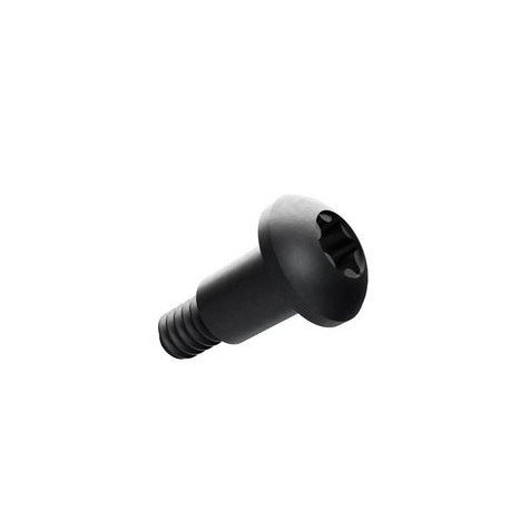Mopar vis (06036311AA)