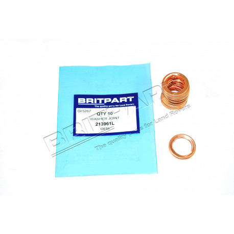 Oem Joint de vidange (213961LB)