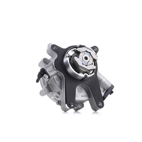 Allmakes 4x4 Pompe à vide (dépression) (DIPPAV002PRBN)