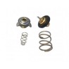 thermostat S-Type,  XF X250,  XJ6 X350,  XJ8 X308,  XJR X350,  XK,  XKR