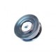 poulie de renvoi S-Type,  XF X250,  XJ6 X350,  XJ6 X358,  XJ8 X308
