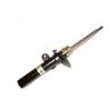 amortisseur de suspension avant X-Type et XK8