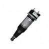 ressort pneumatique et amortisseur arrière XF X250
