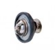 thermostat X-Type et XK8