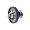 thermostat X-Type et XK8