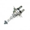 ampoule S-Type,  XE,  XF X250