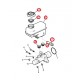 bocal pour  maitre cylindre Captiva C140