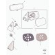 glace retroviseur exterieur Freelander 1